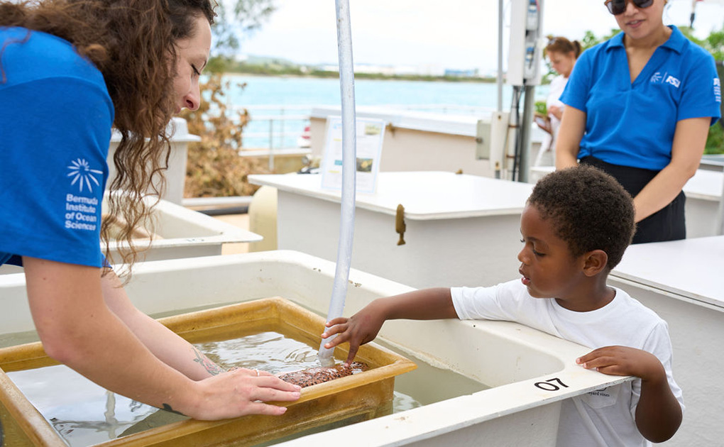 open-house-touch-tank