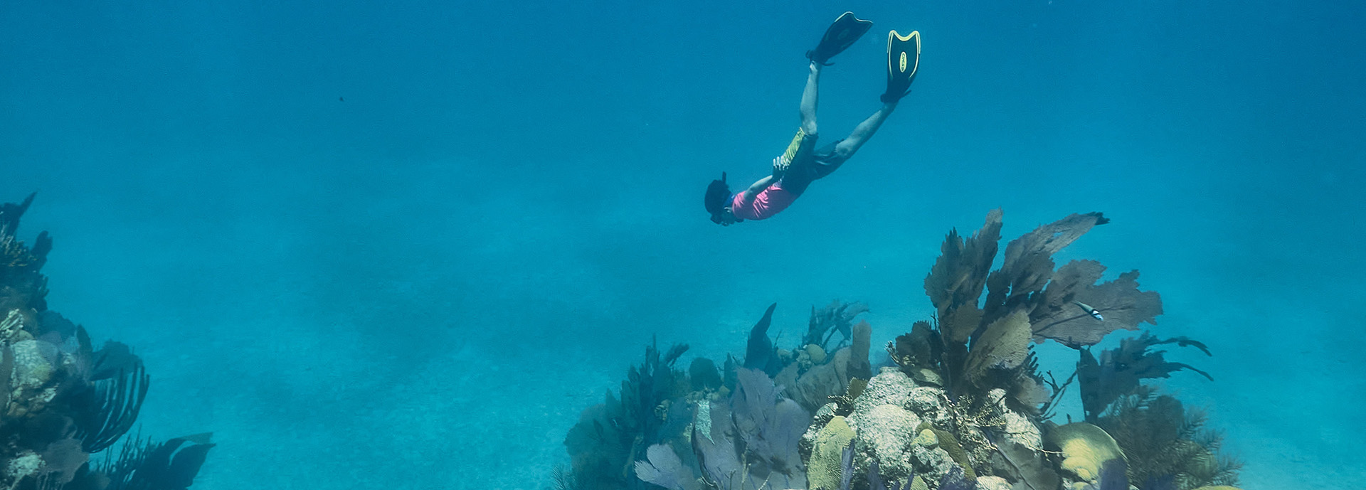 snorkeler at Northrock dives underwater