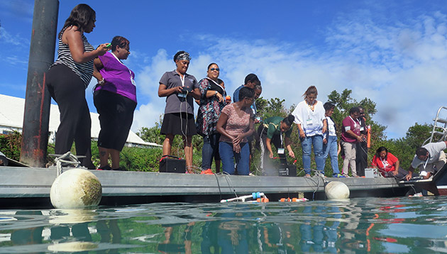 2015-BUT-MARINE-workshop-Currents