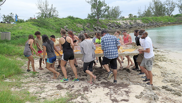 Coastal-Clean-up-REU-BIOS-Whalebone-Bay