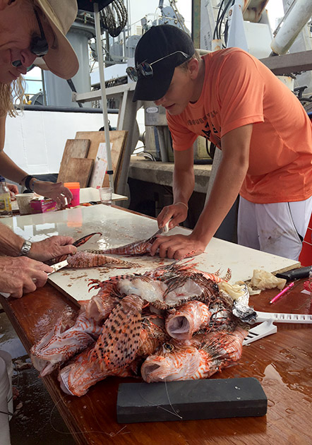 Lionfish-tourn-vert