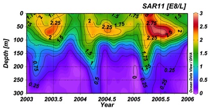 SAR11-contour-plot