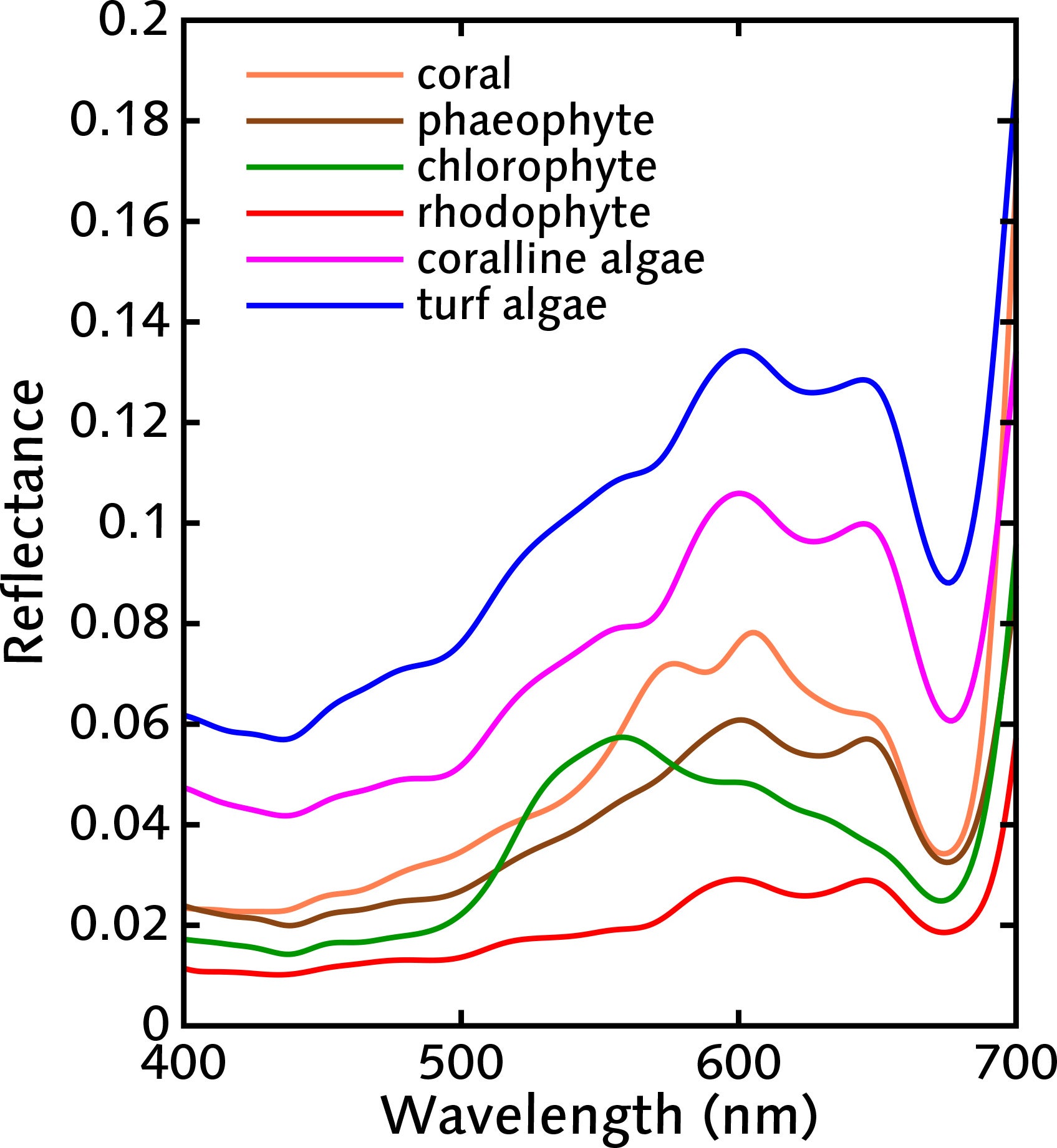 Graph of bottom reflectance of different benthic covers