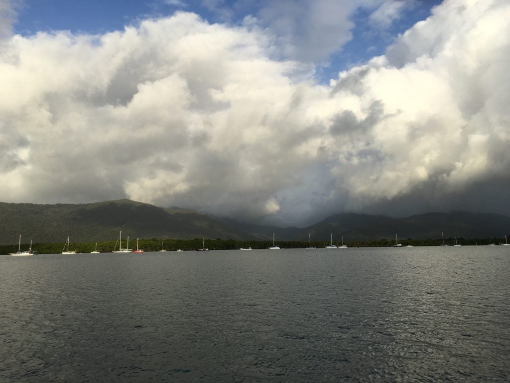 A view of the shoreline of Cairns Australia