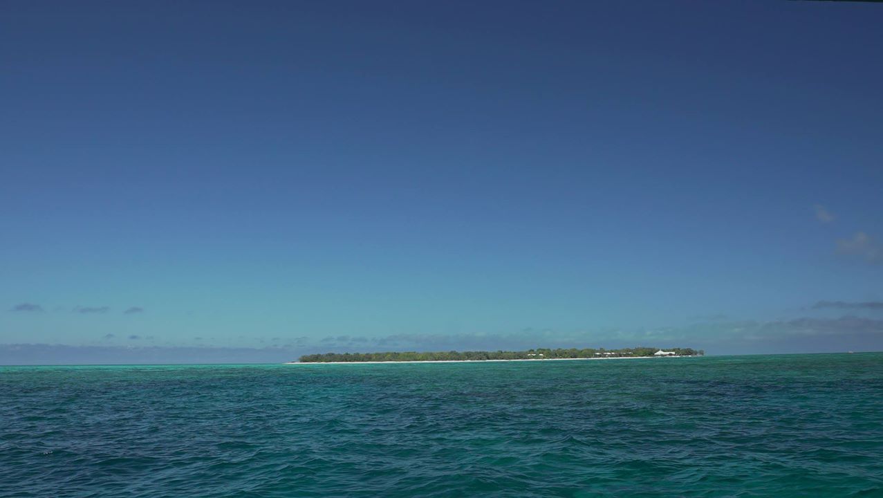 Heron Island Australia Great Barrier Reef