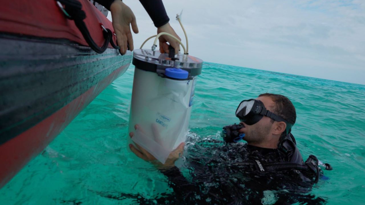 A diver takes the gradient flux instrument from a colleague on a boat