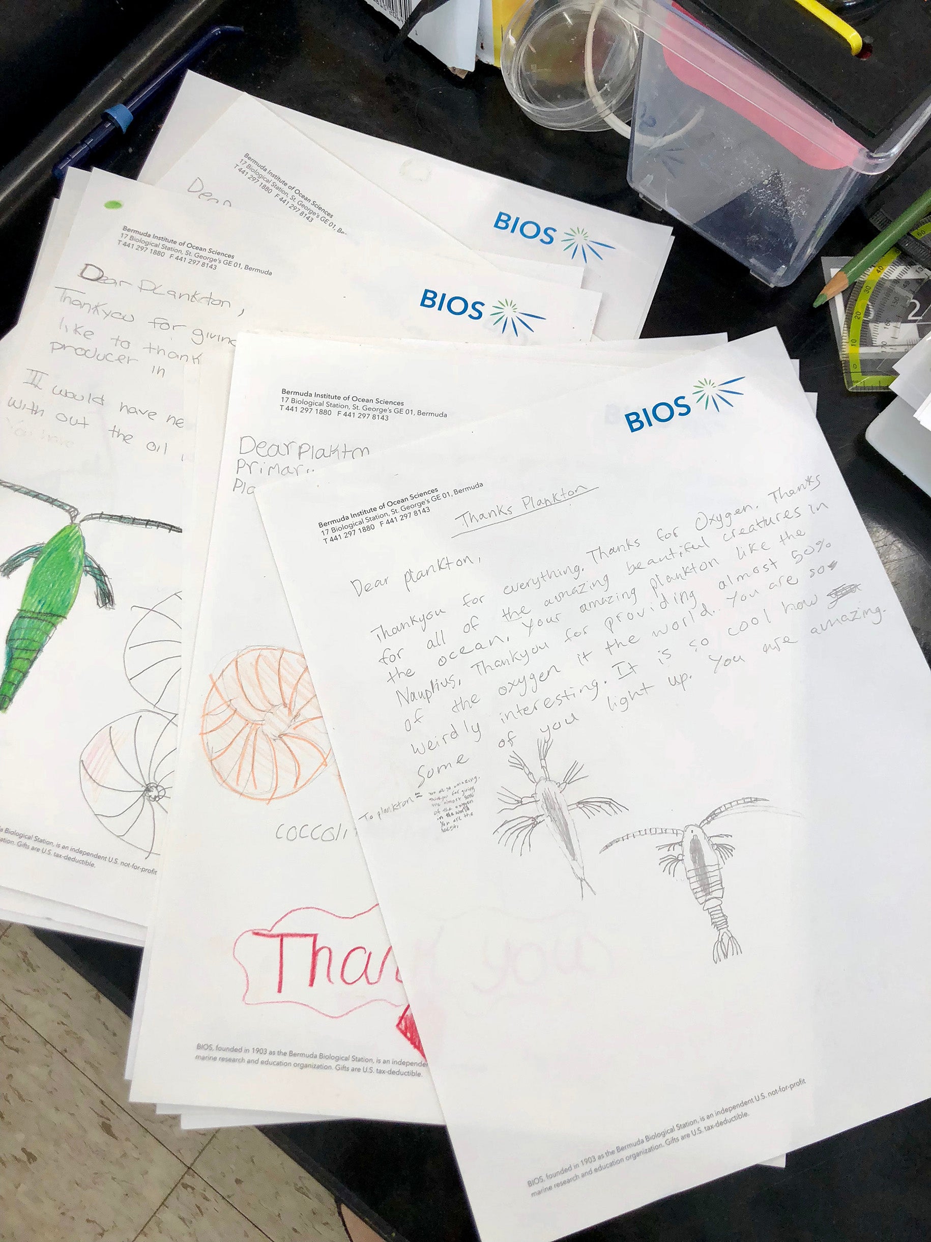 2018-HSP-plankton-tow-group1-thankyouletters