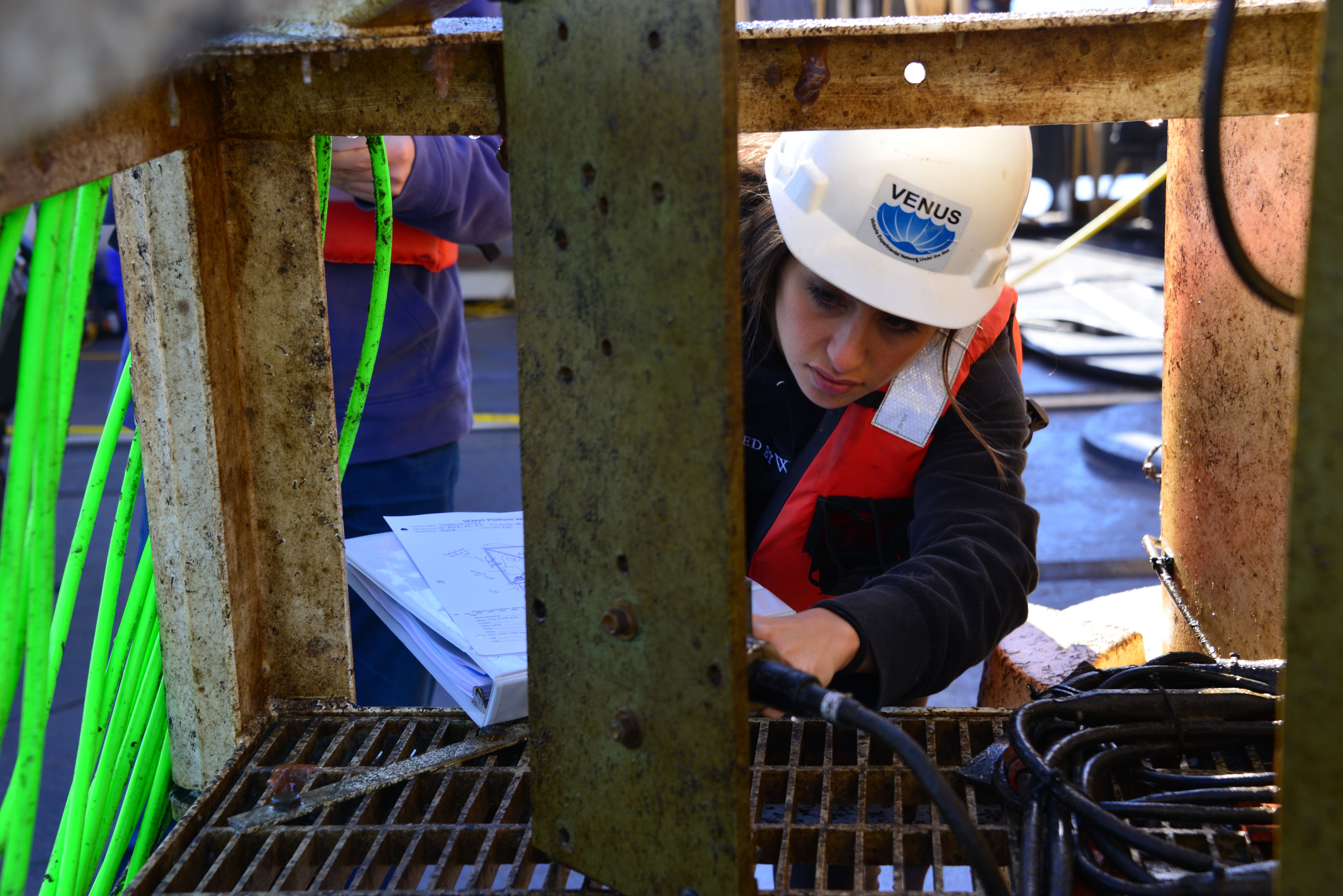 Meghan observes the instrument platform