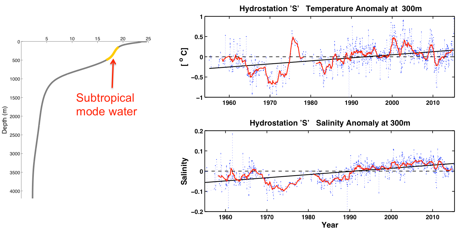 SargassoSeawarminggraphs