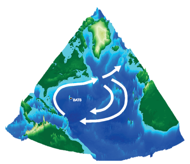 batsconemap1