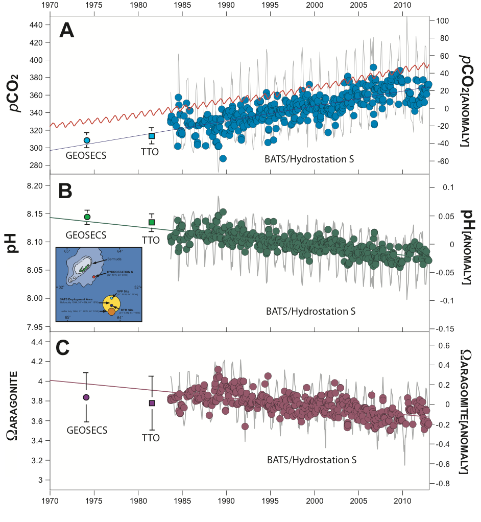 decreaseoceanphgraph