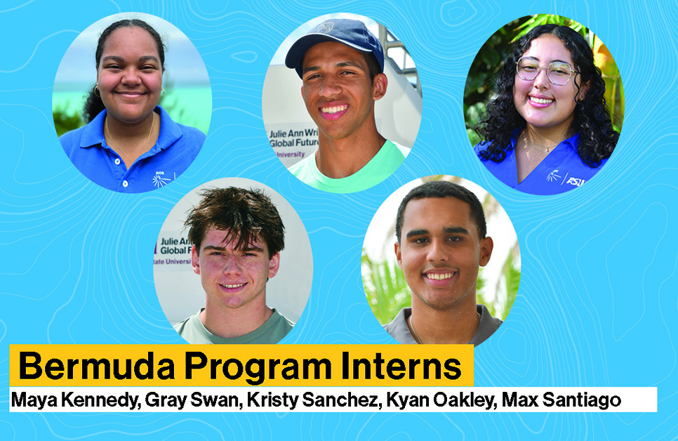 bermuda program interns 