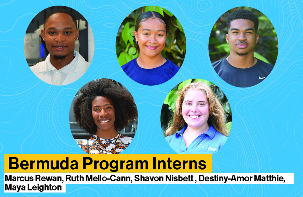 bermuda program interns