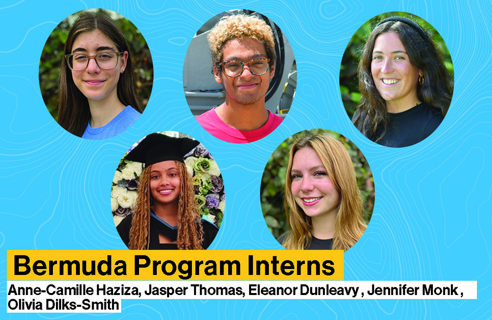 bermuda program interns