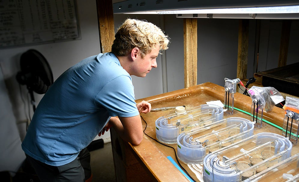 Tom moran monitors his coral experiment 