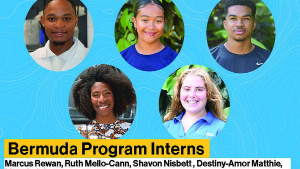 bermuda program interns