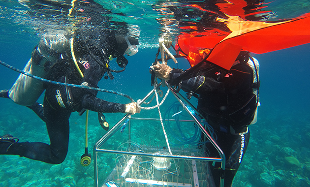 1.3 Water sampler being deployed. Alex Hunter and Yvonne Sawall attach lift bags to the frame of the sampler, which will allow them to maneuver the sampler to its position in the reef after releasing it from the A-frame of the boat. Photo: Khalil Smith.