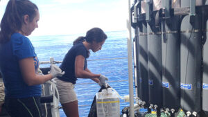 An NSF REU intern takes water samples aboard the BIOS research vessel Atlantic Explorer