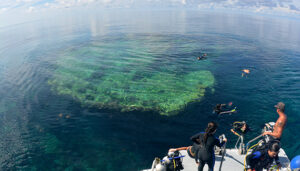 BIOS fall semester students visit Hog Breaker Reef in Bermuda