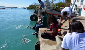 Teachers practice using their ROVs off the BIOS dock as part of a teacher training workshop