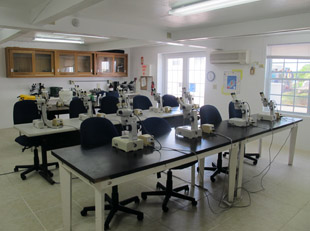 Clark Laboratory
