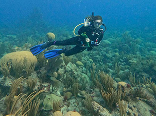 a scuba diver gives the OK signal