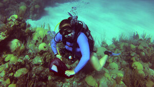 Hannah Reich, a BIOS student intern, dives on Bermuda's coral reefs