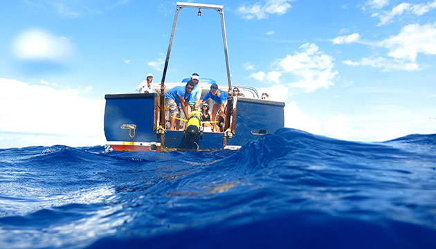 scientists deploy a glider off a BIOS research vessel