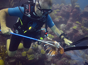 Bermuda Invasive Lionfish Control Initiative